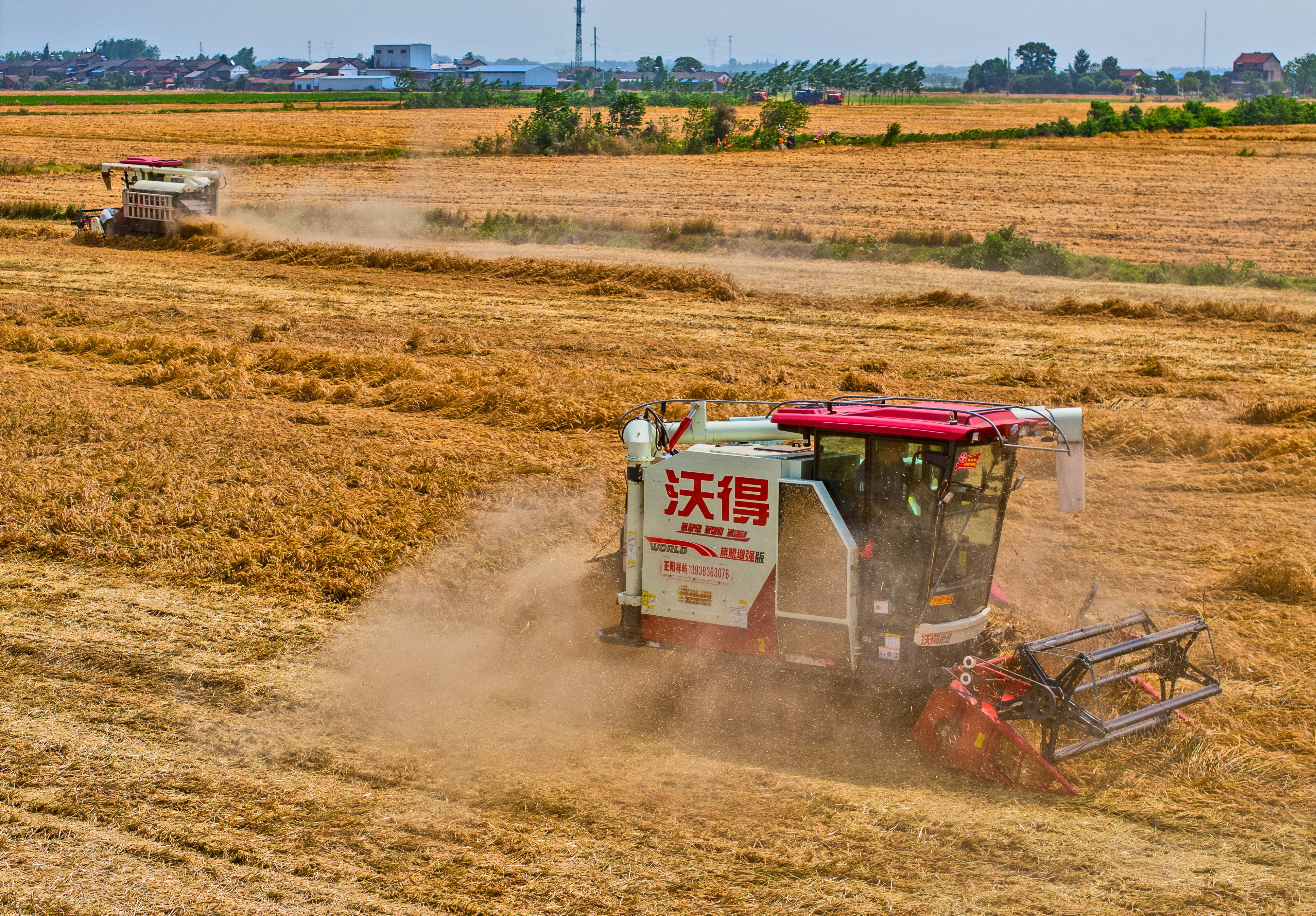 新华视点丨金秋农忙庆丰收 科技赋能助力乡村振兴