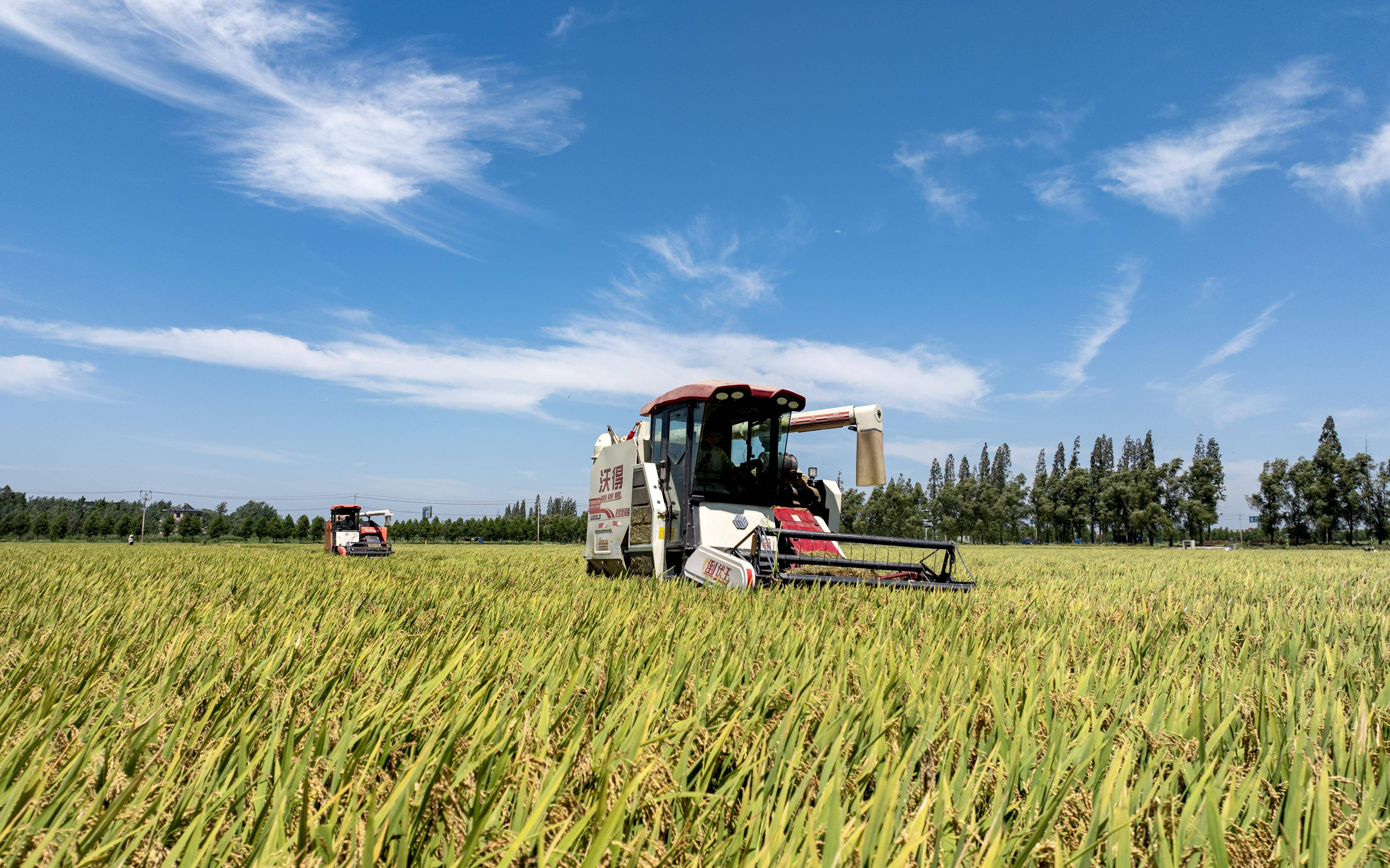 新华视点丨金秋农忙庆丰收 科技赋能助力乡村振兴