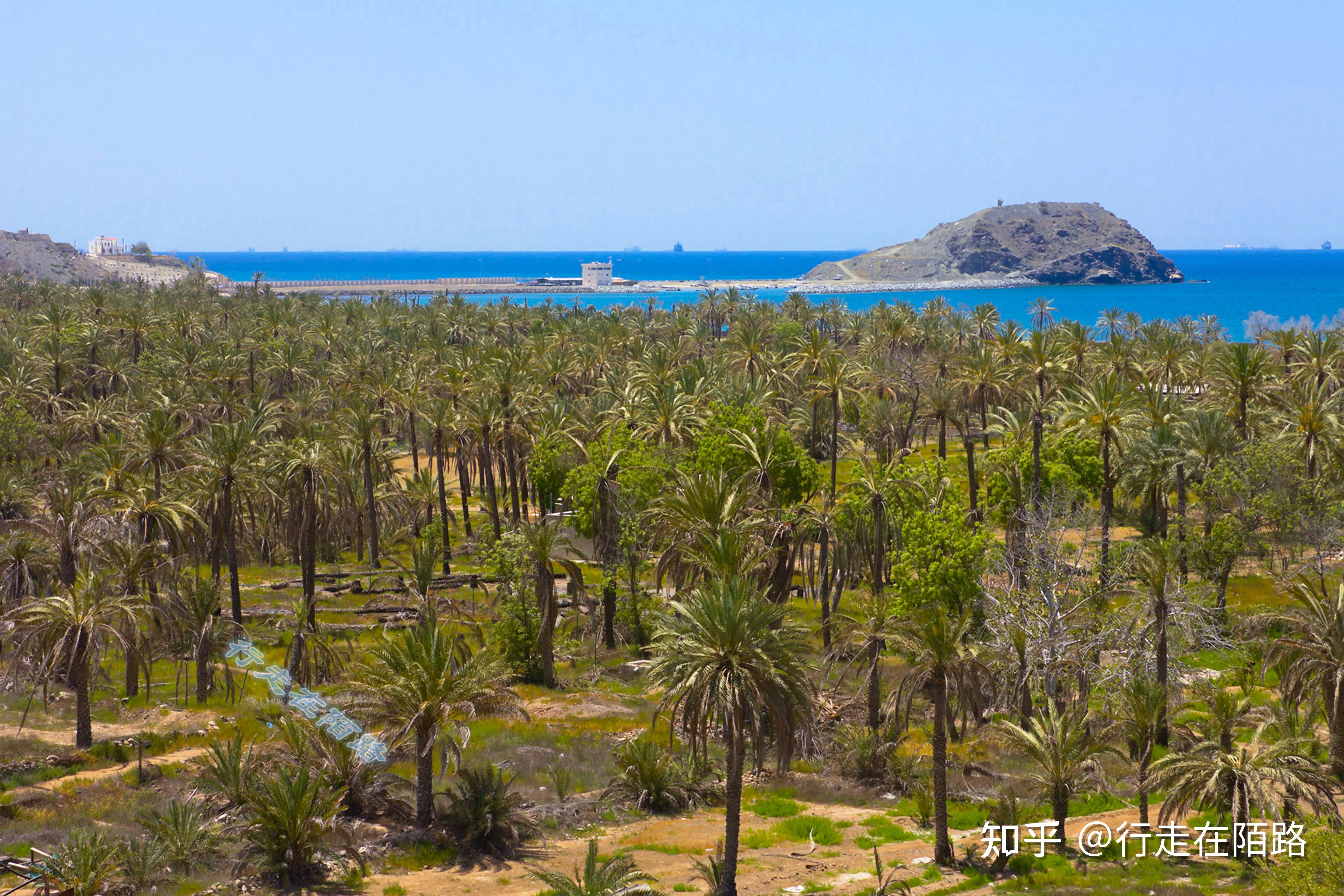 阿联酋非石油活动继续表现出强大韧性