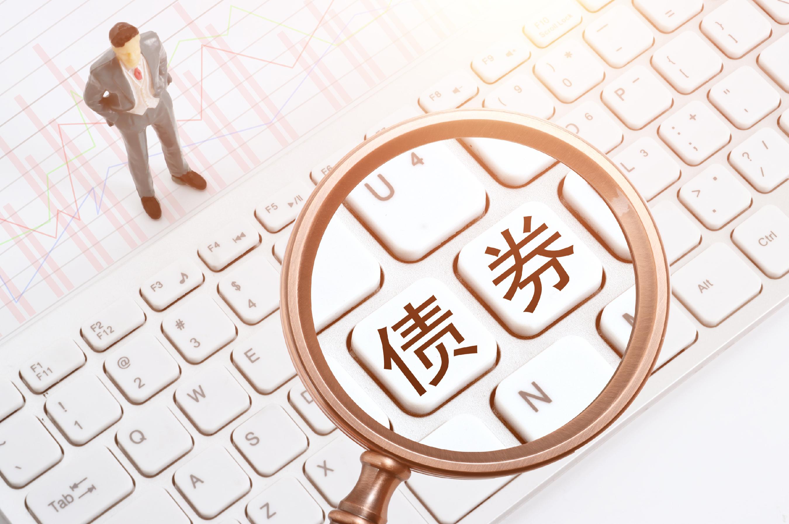 支持境外机构投资者开展债券回购业务