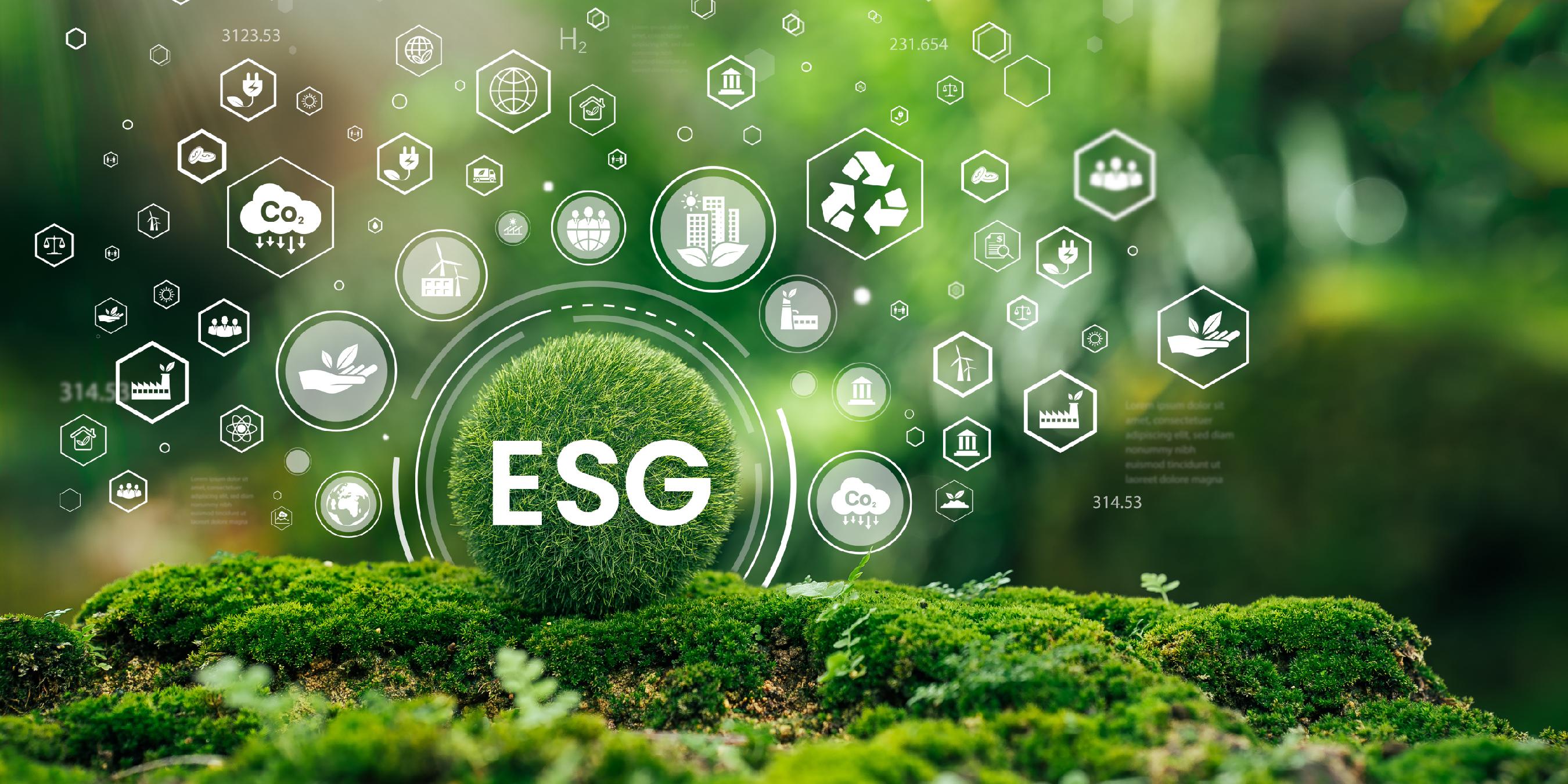 恒而达（300946.SZ）妙盈科技ESG评级C，行业排名第293