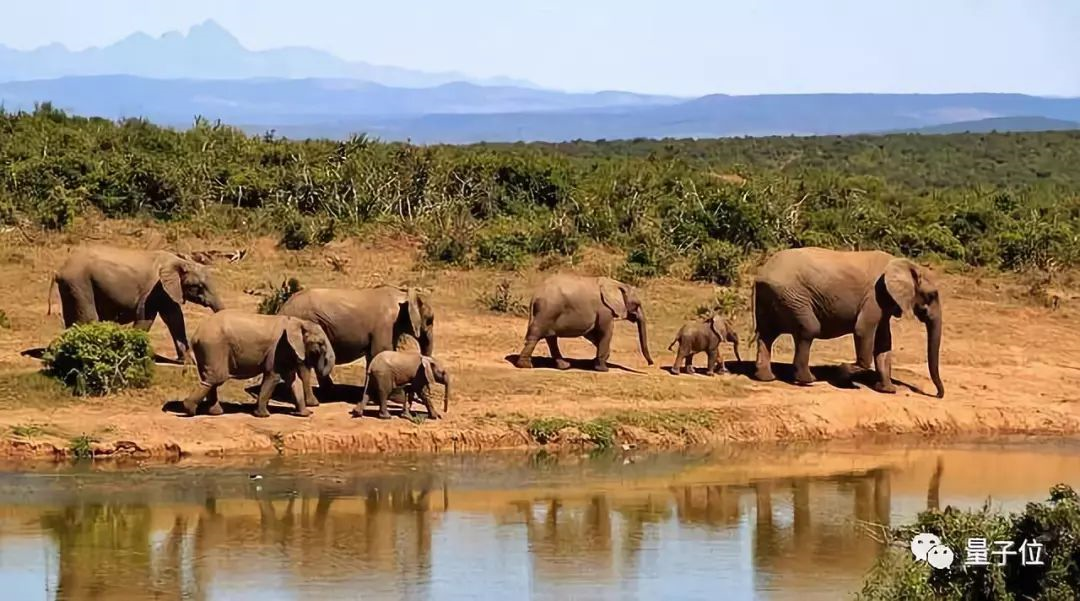 谷歌宣布拟在非洲建设四个枢纽以加强互联网接入能力