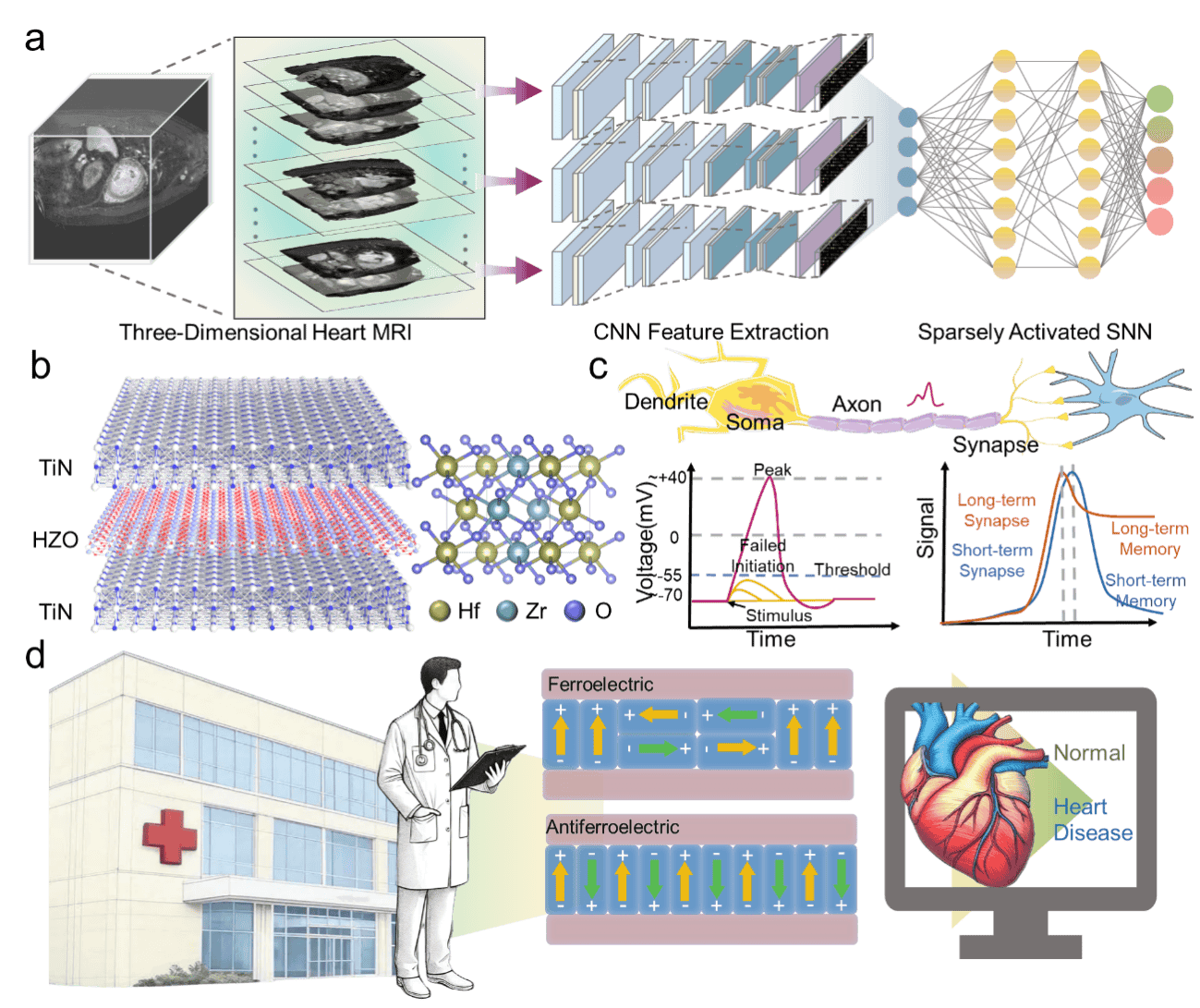 研究人员开发出“类脑”微型流体芯片