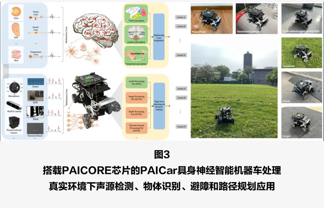 研究人员开发出“类脑”微型流体芯片