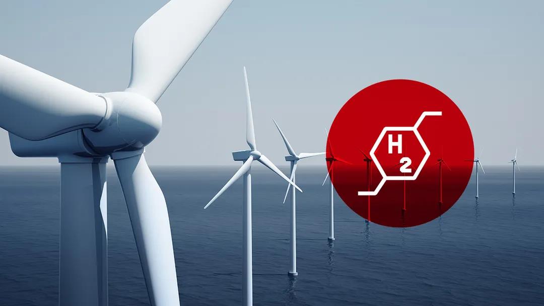 道达尔能源申请暂停其160亿美元绿氢项目环评审批