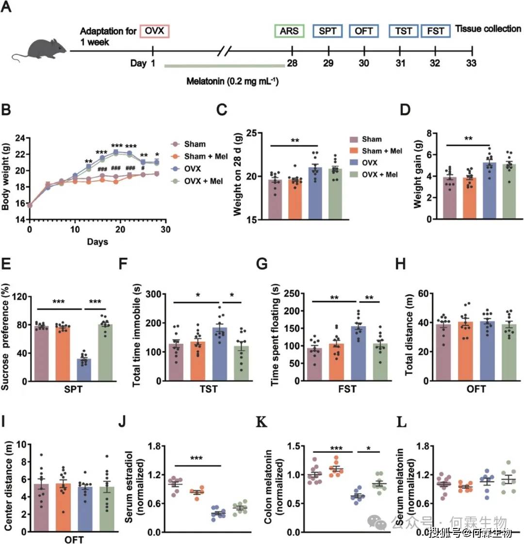 新研究揭示肠道“休眠”噬菌体被“唤醒”的机制
