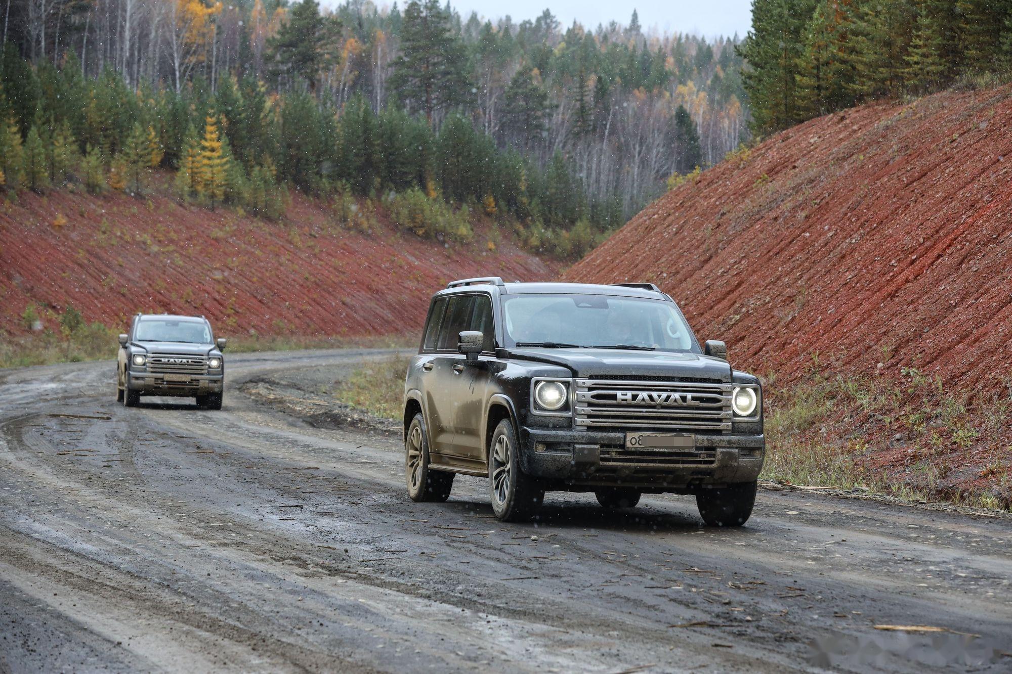 今年以来巴西雷亚尔上涨16%，升值幅度居全球第五