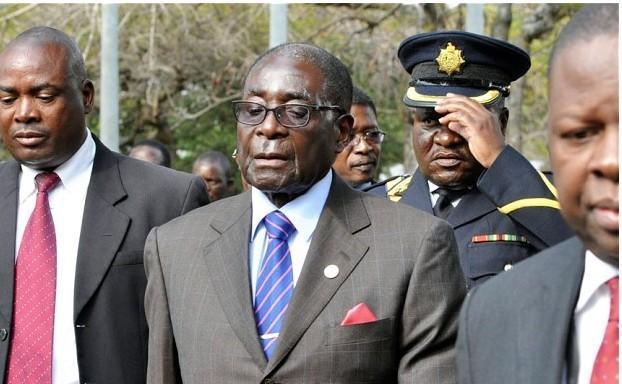 津巴布韦本季小麦产量有望达 60万吨