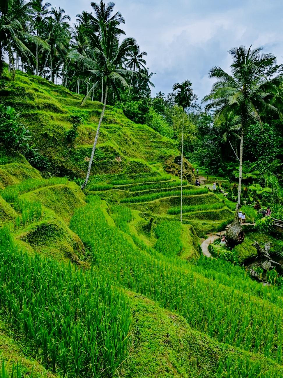 印度尼西亚正在考虑将巴厘岛打造成一个区域性金融中心