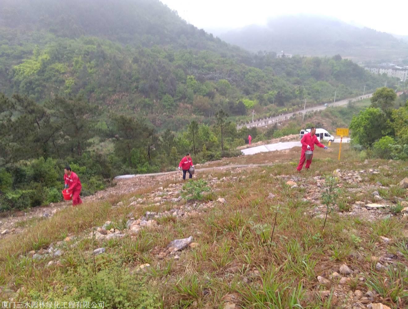 苏丹矿业部开会研究保障采矿业安全和打击走私