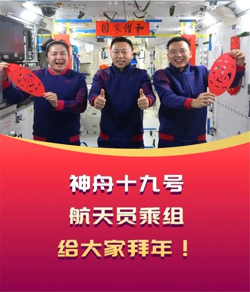 神舟二十一号｜4只小鼠已选定！我国首次送小鼠进入“太空家园”