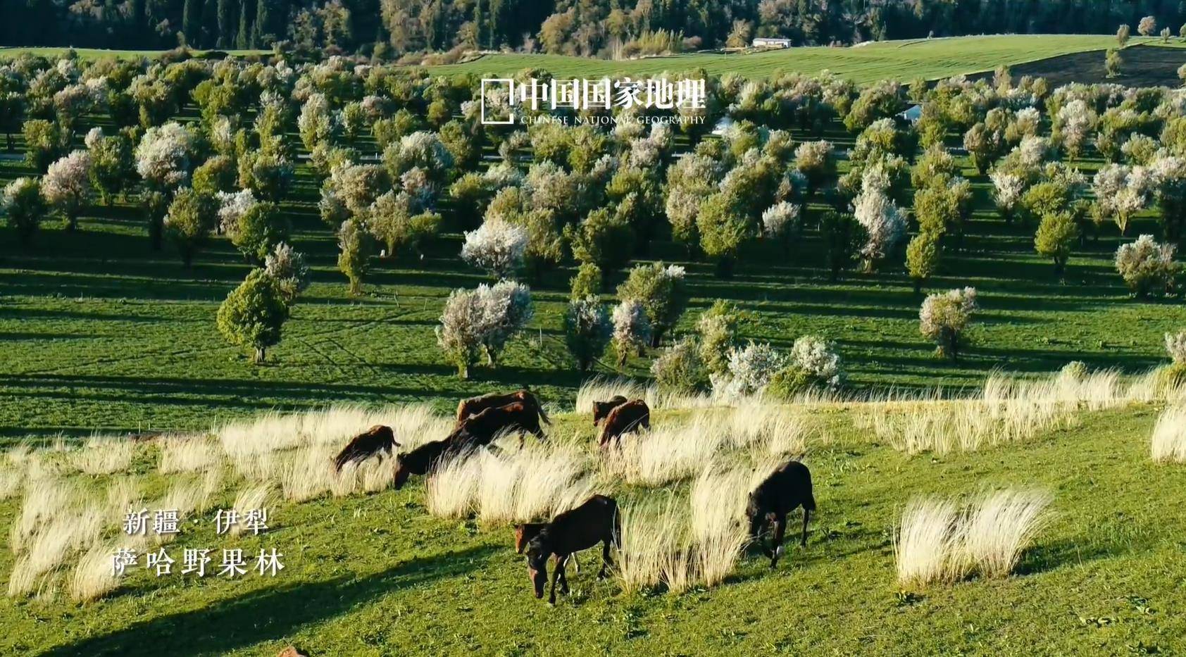 安联公司发行11.7亿元绿色及碳中和CMBS