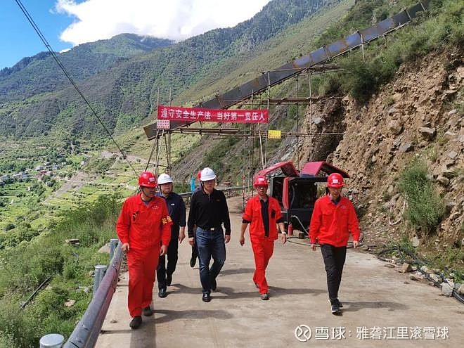 川投能源(600674.SH)：总经理杨洪辞职