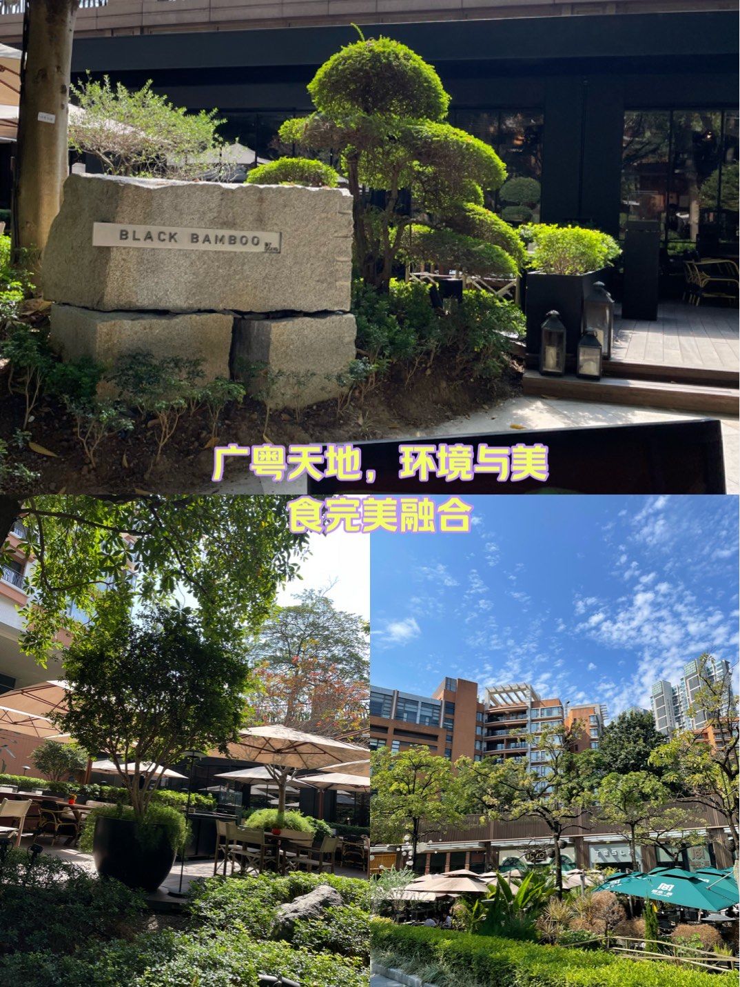 珠城科技：暂未涉及整机制造业务