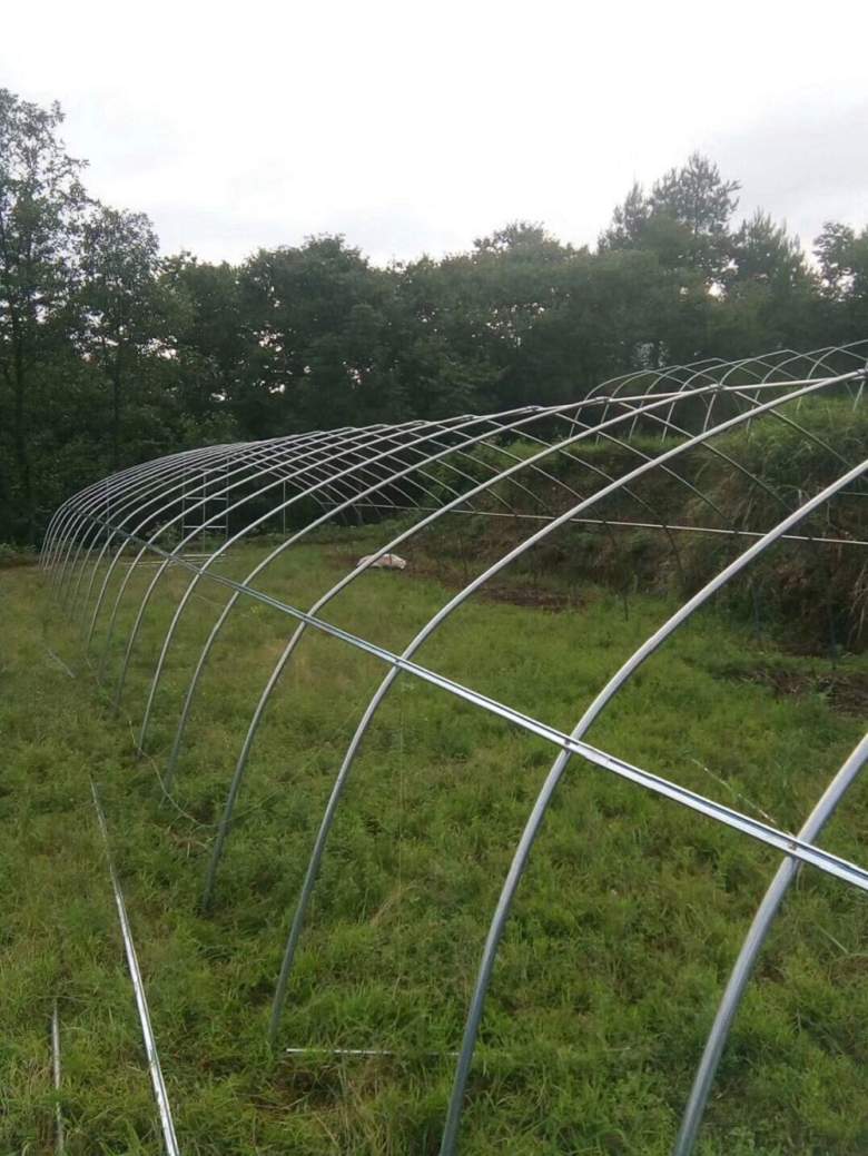 海得控制获得发明专利授权：“一种装配型车间辊道调度方法”