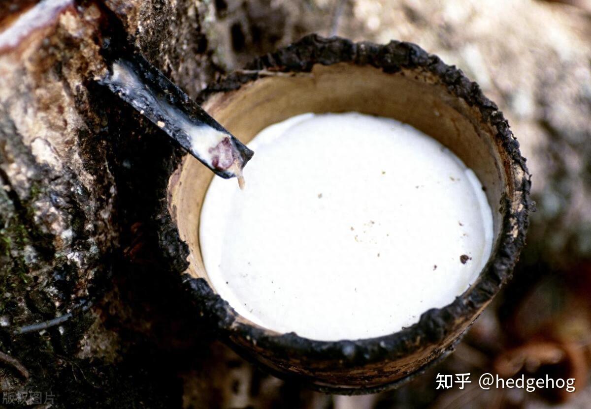 美兰橡胶占科特迪瓦天然橡胶本地加工能力近30%