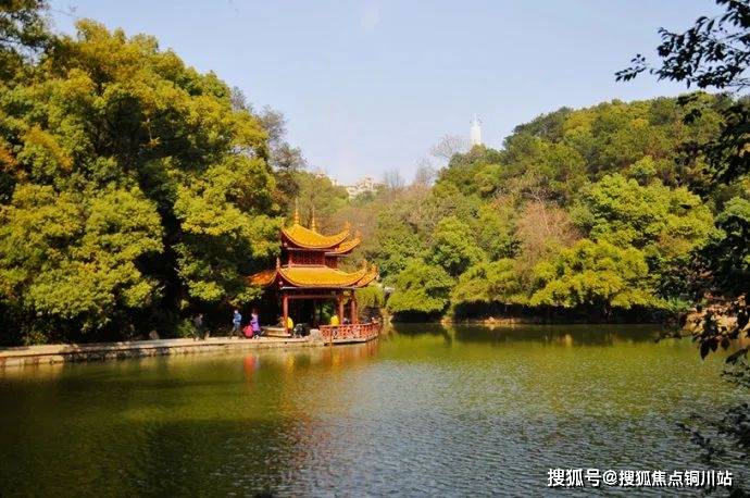 洋洋大观｜沉睡三千年，AI焕活甲骨文“归乡”路