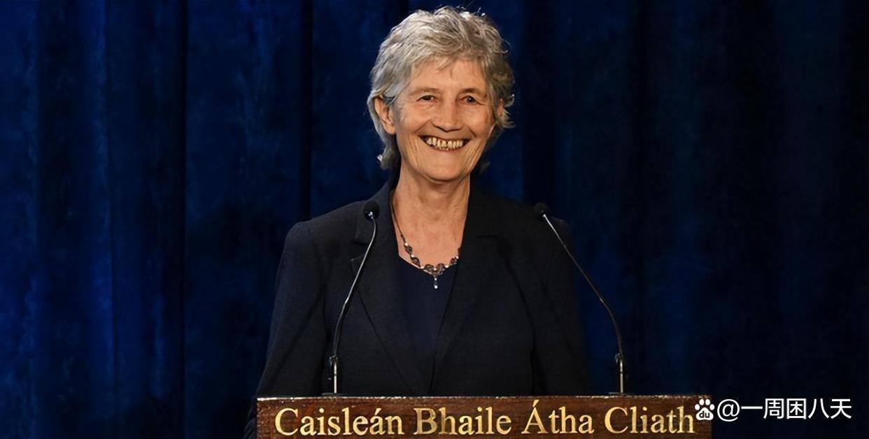 爱尔兰将选出新总统