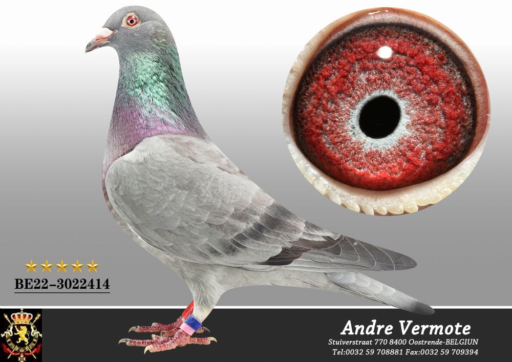 苏格兰首只“基尔特”债券有望吸引买家