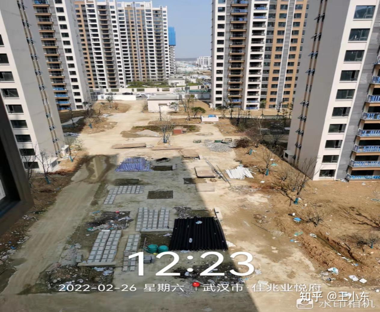 金杨股份：截至2025年11月10日股东户数为12,315户