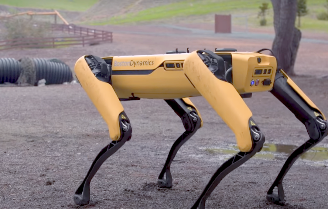 机器狗“上岗” 运输好帮手