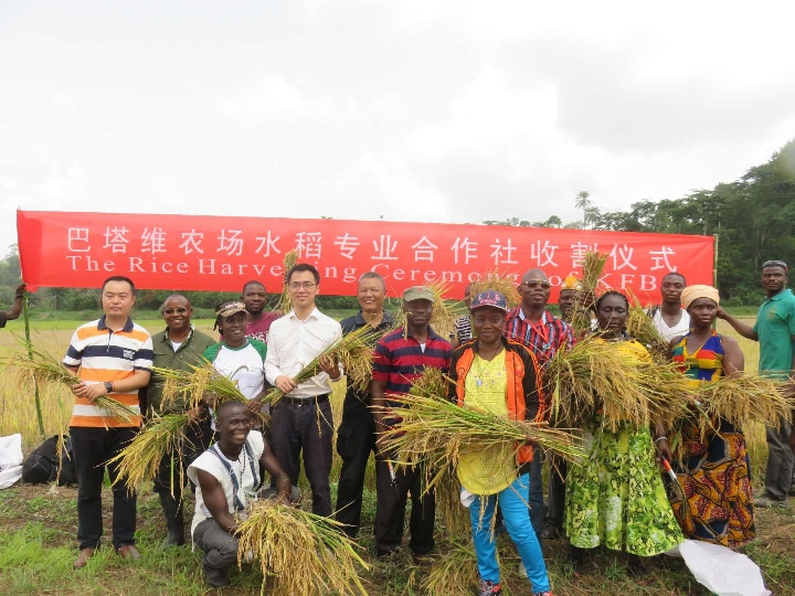 利比里亚成立碳市场管理局,推动气候资源变现