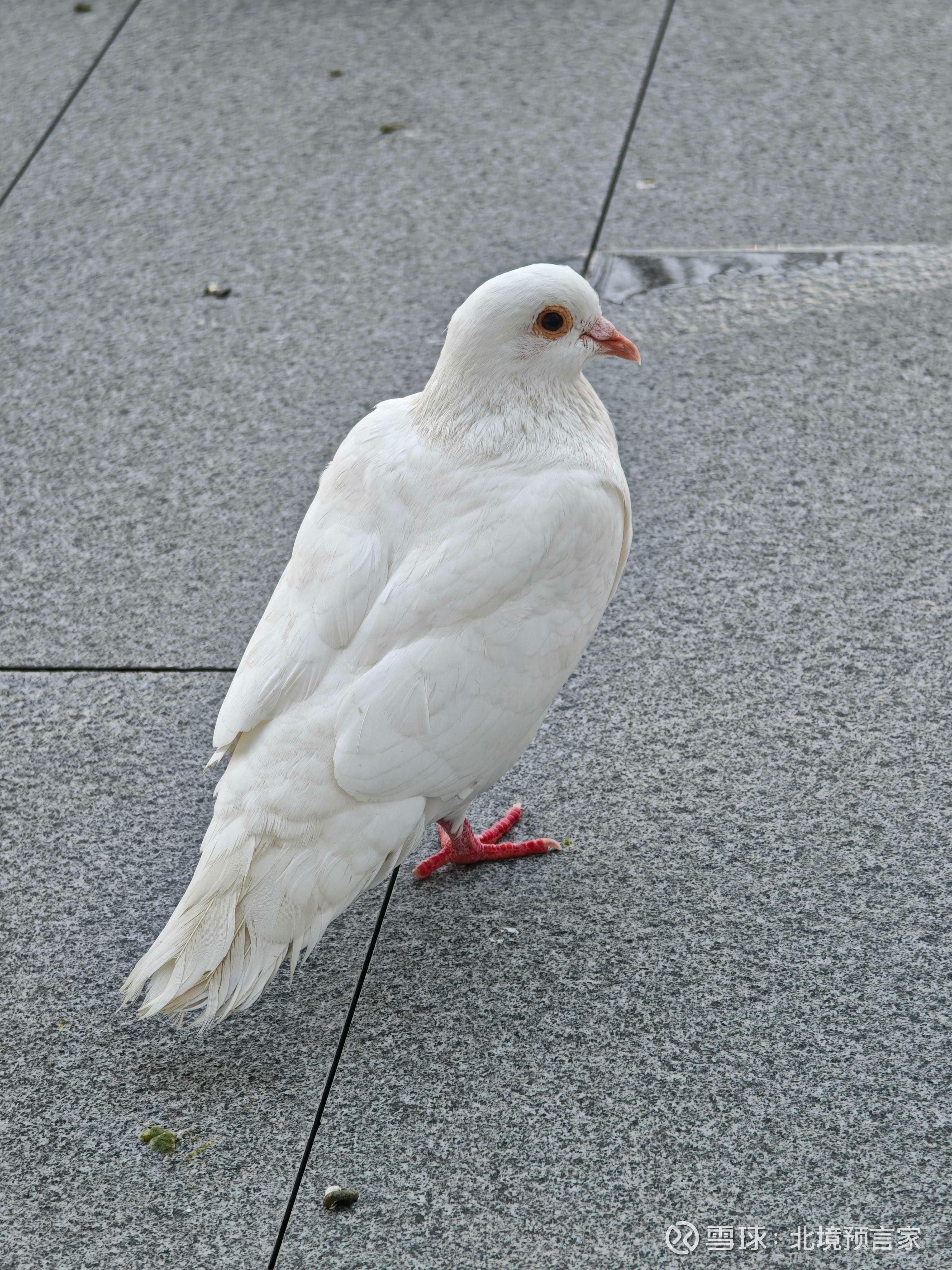 中坚科技(002779.SZ)：向香港联交所递交H股发行并上市申请并刊发申请资料