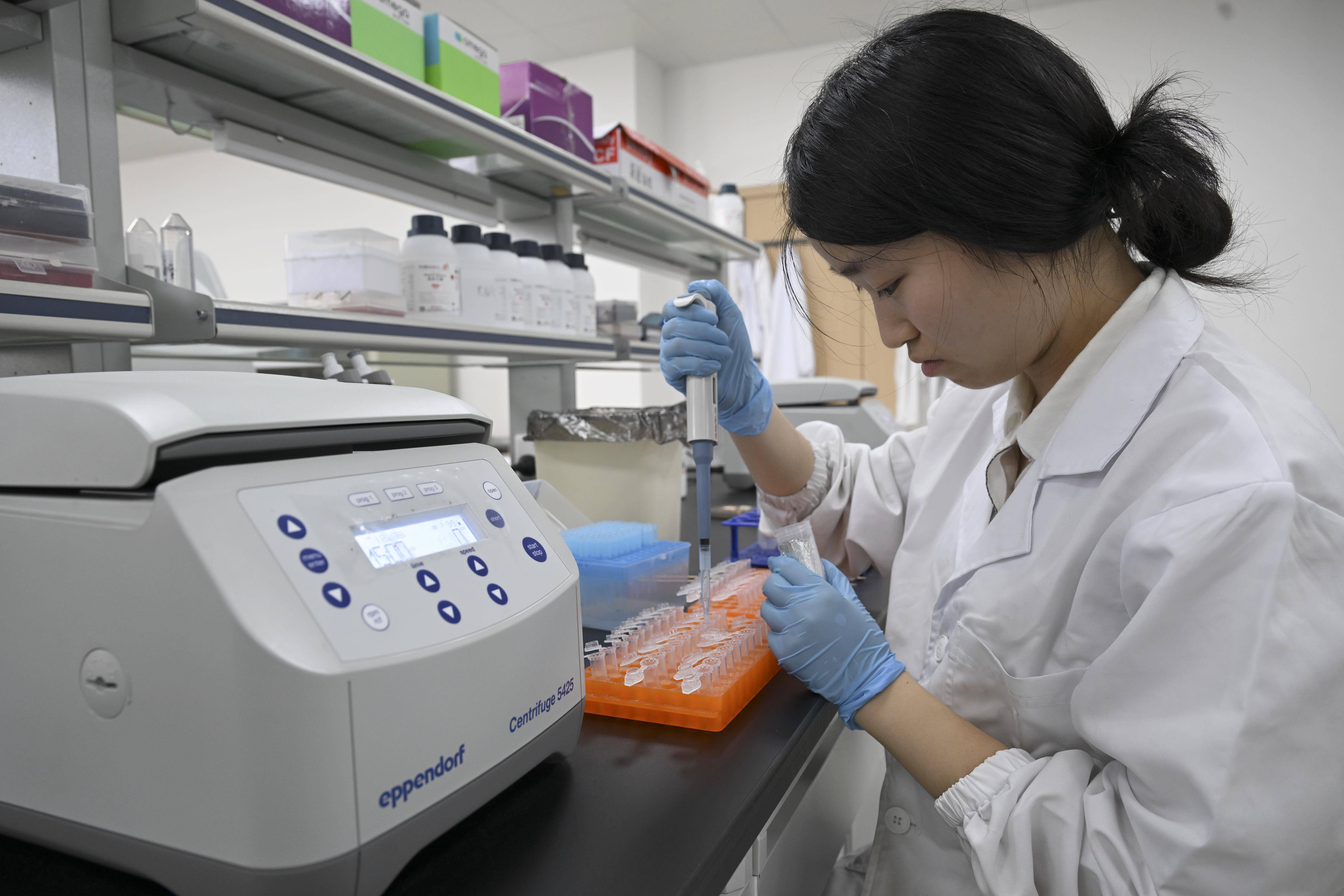 科技创新破解种业发展瓶颈