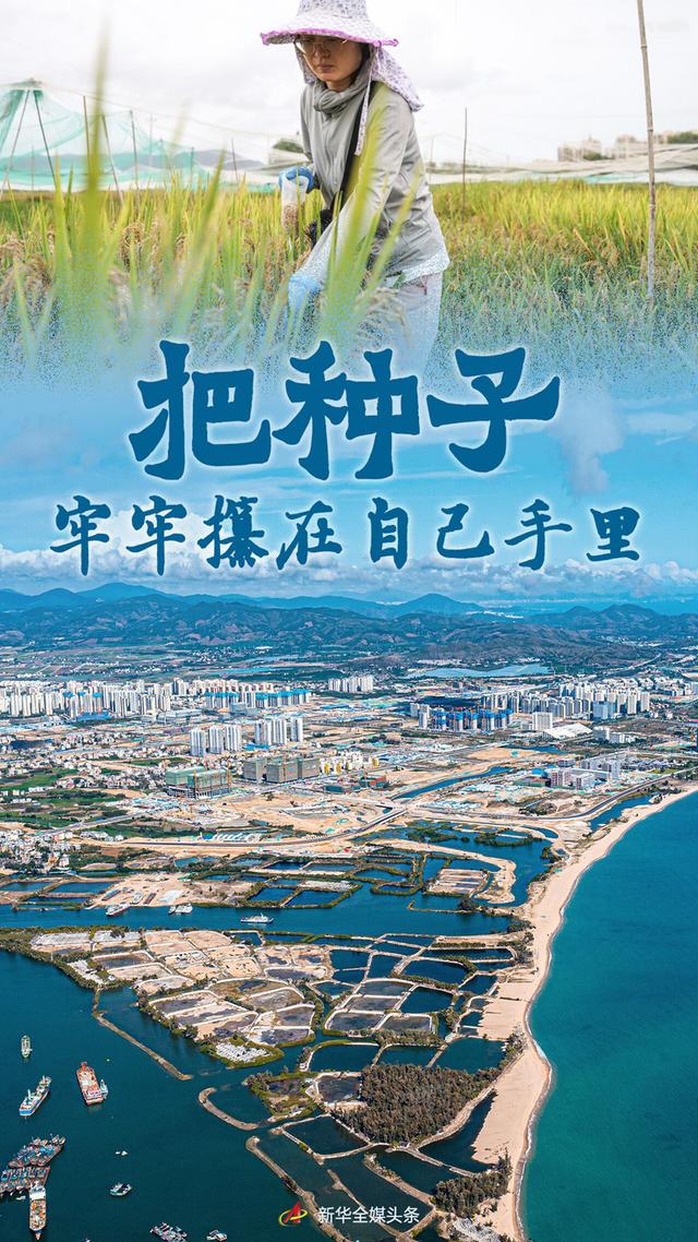 科技创新破解种业发展瓶颈