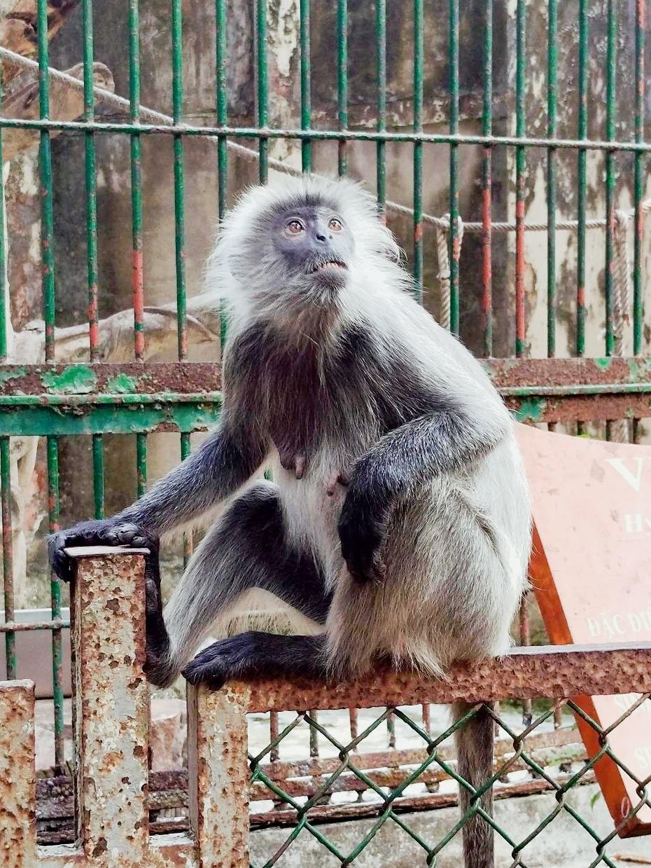 越南公布生物燃料实施路线图