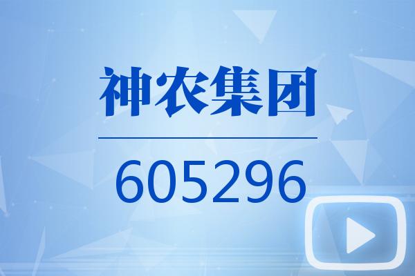 神农集团(605296.SH)：1-11月销售生猪收入43.01亿元