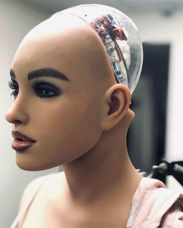 四中全会精神在基层丨突破想象！AI机器人成为实验室“主力军”