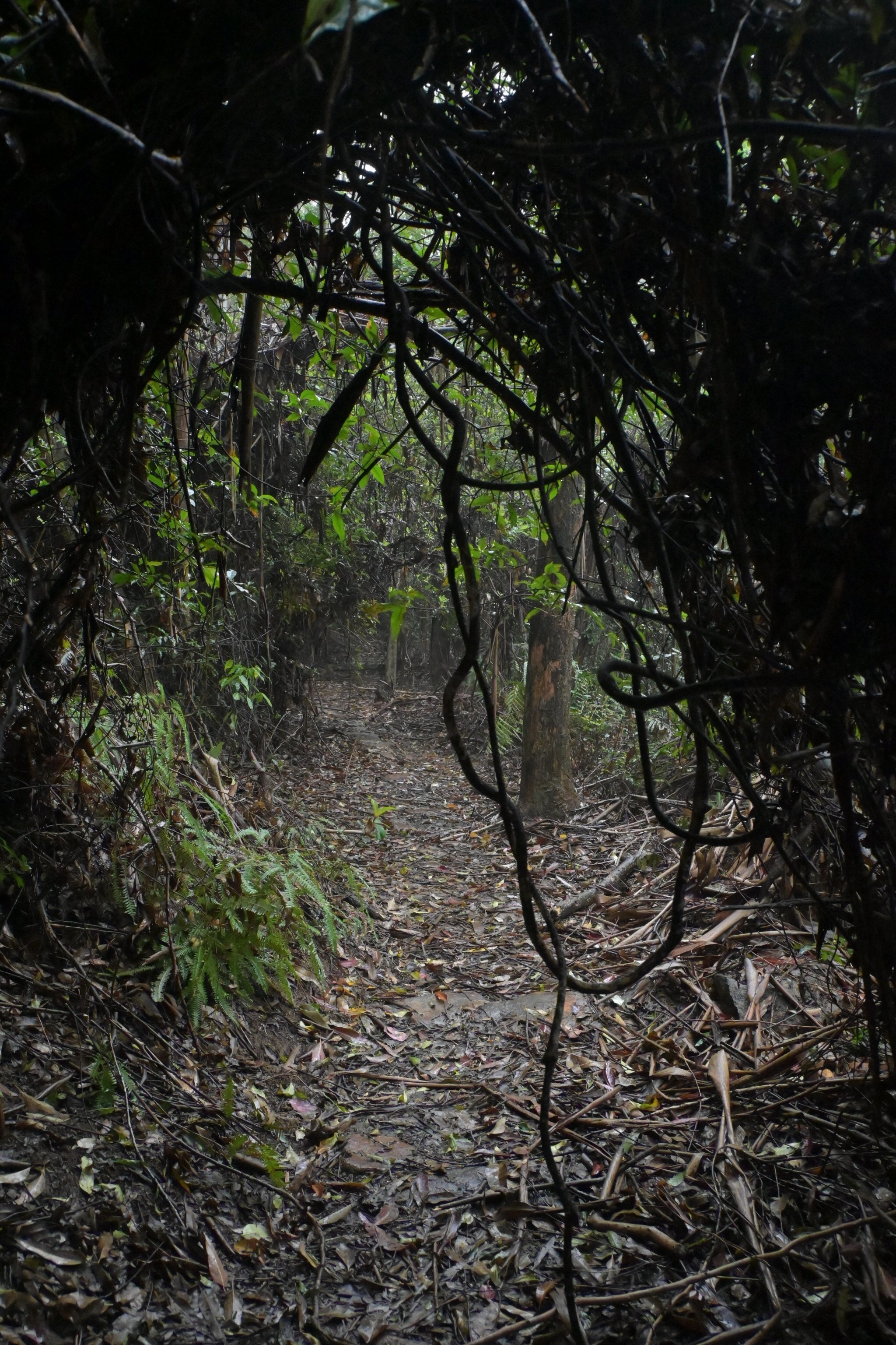 “24山路02”将于12月16日付息