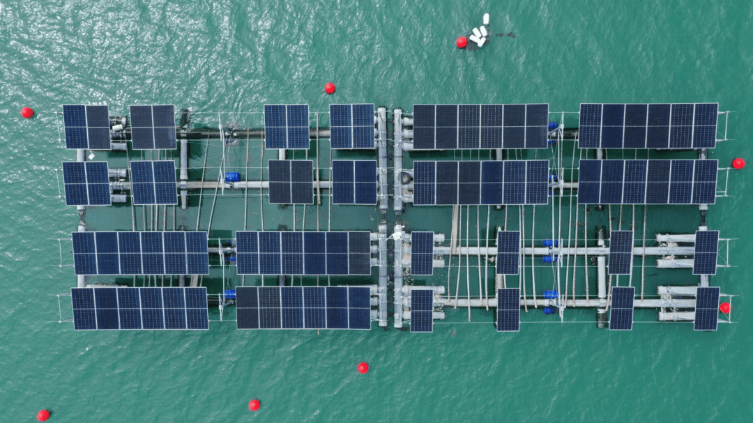 天顺风能：全球海洋经济未来市场空间巨大