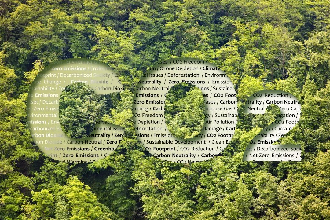 碳中和路线图下的价值重构！恩捷股份绿色转型实践