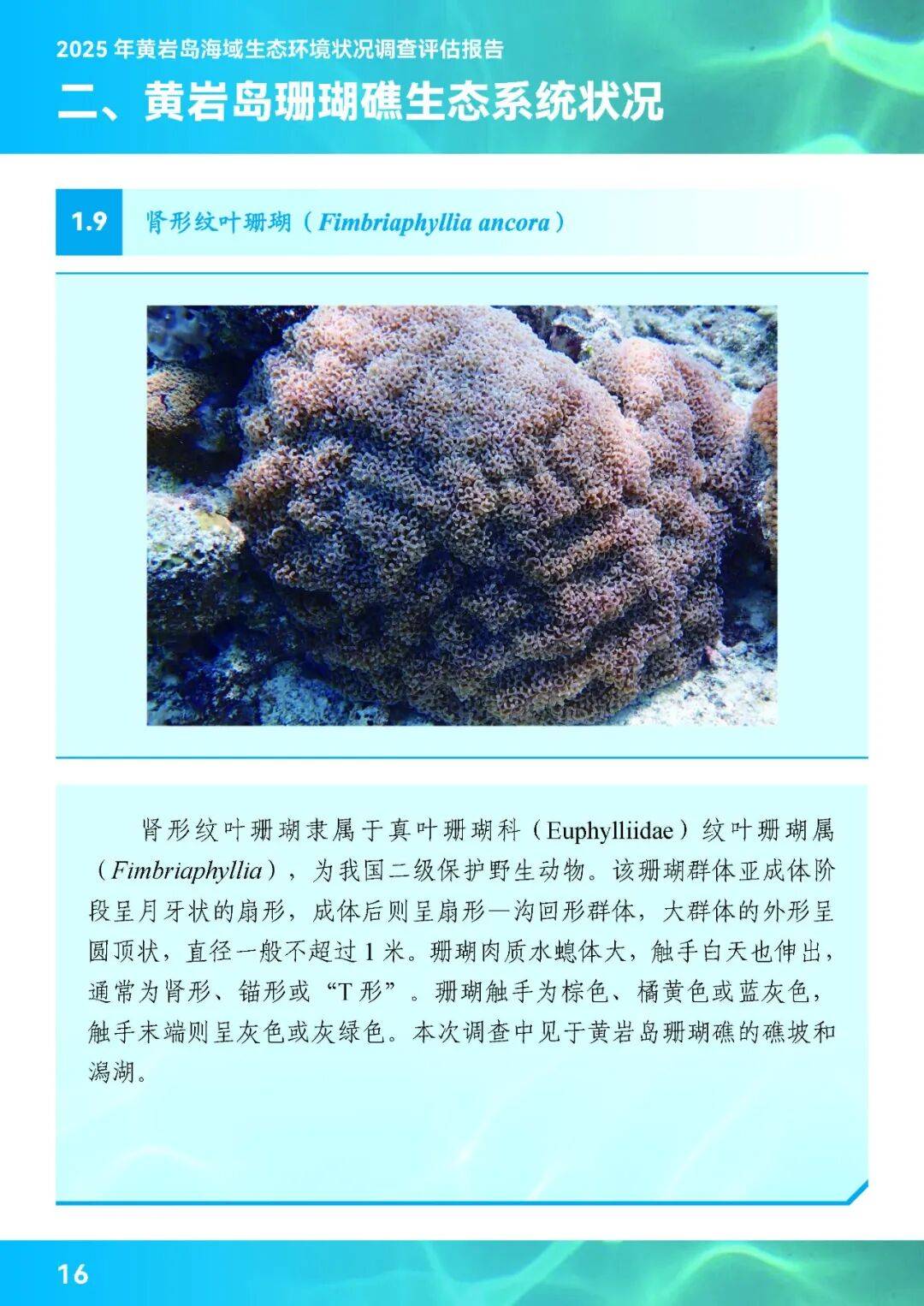 新研究：珊瑚礁对周边海域微生物产生“日节律”影响