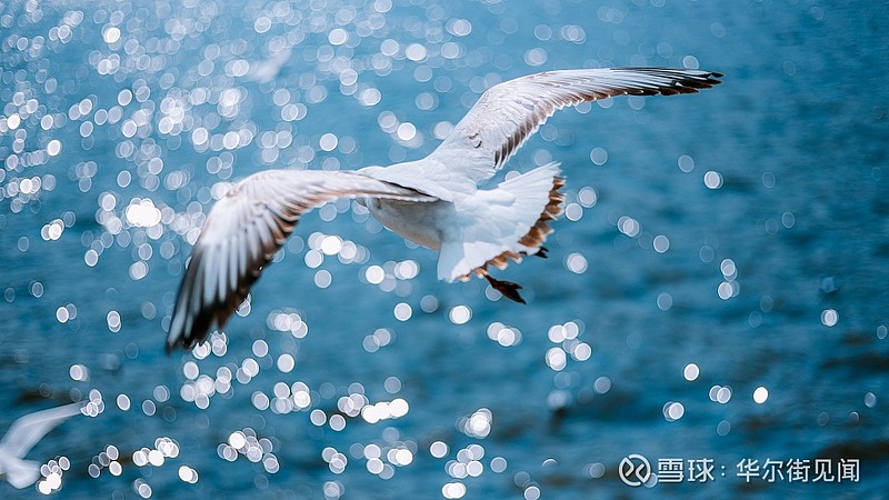 亚洲投资者涌入海湾地区债券市场