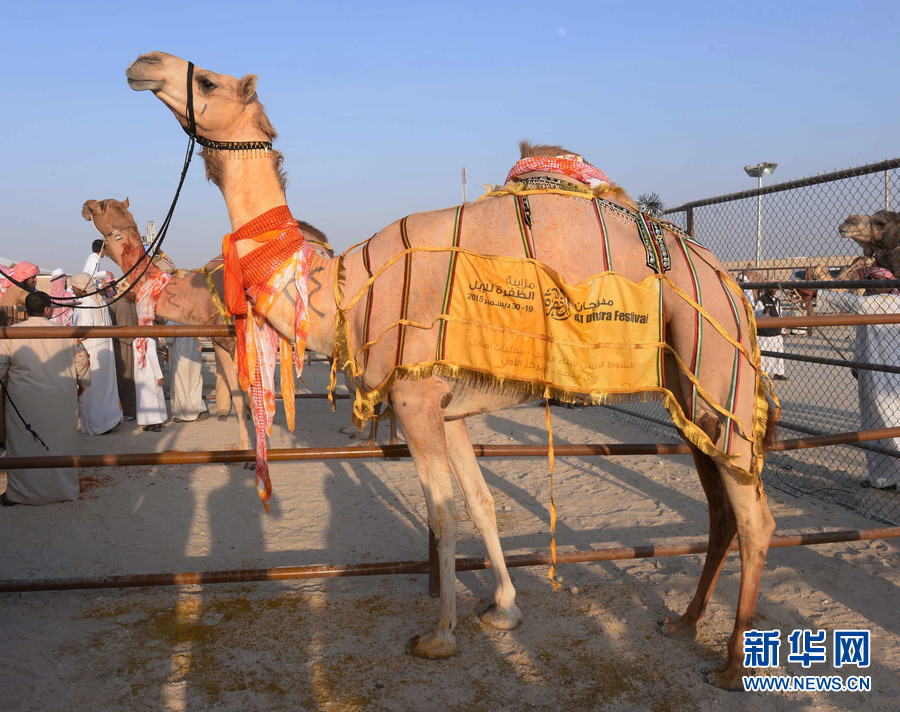 首届国际中国游戏节在阿布扎比BRIDGE峰会上拉开帷幕