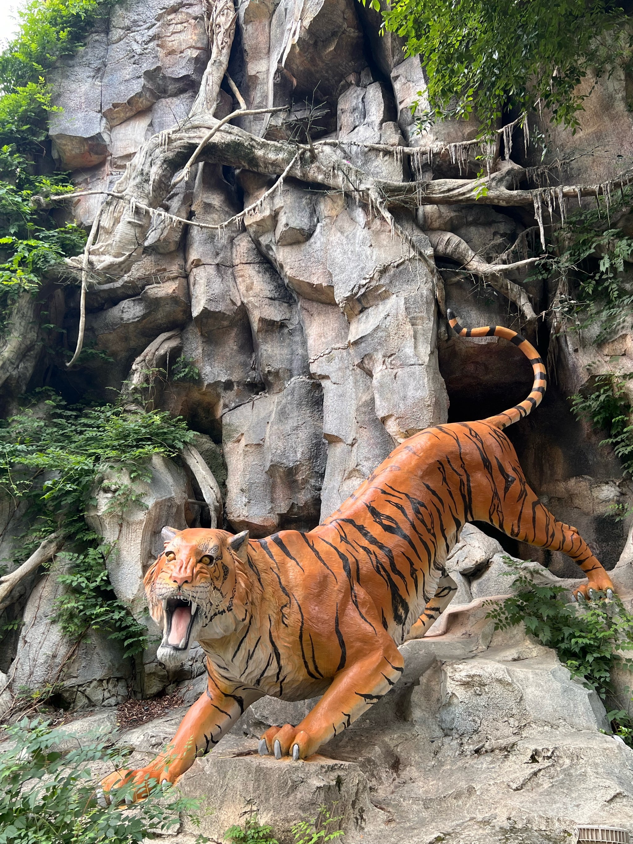 河南殷墟王陵区发现中国迄今最早“野生动物园”