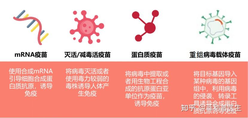 阿尔及利亚启动新的战略性项目：建设病毒学研究中心和国家疫苗生产工厂