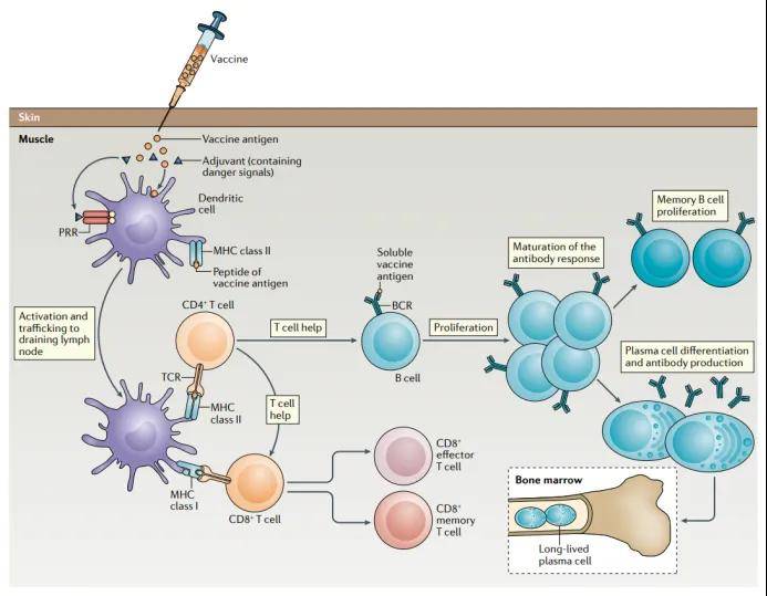 阿尔及利亚启动新的战略性项目：建设病毒学研究中心和国家疫苗生产工厂