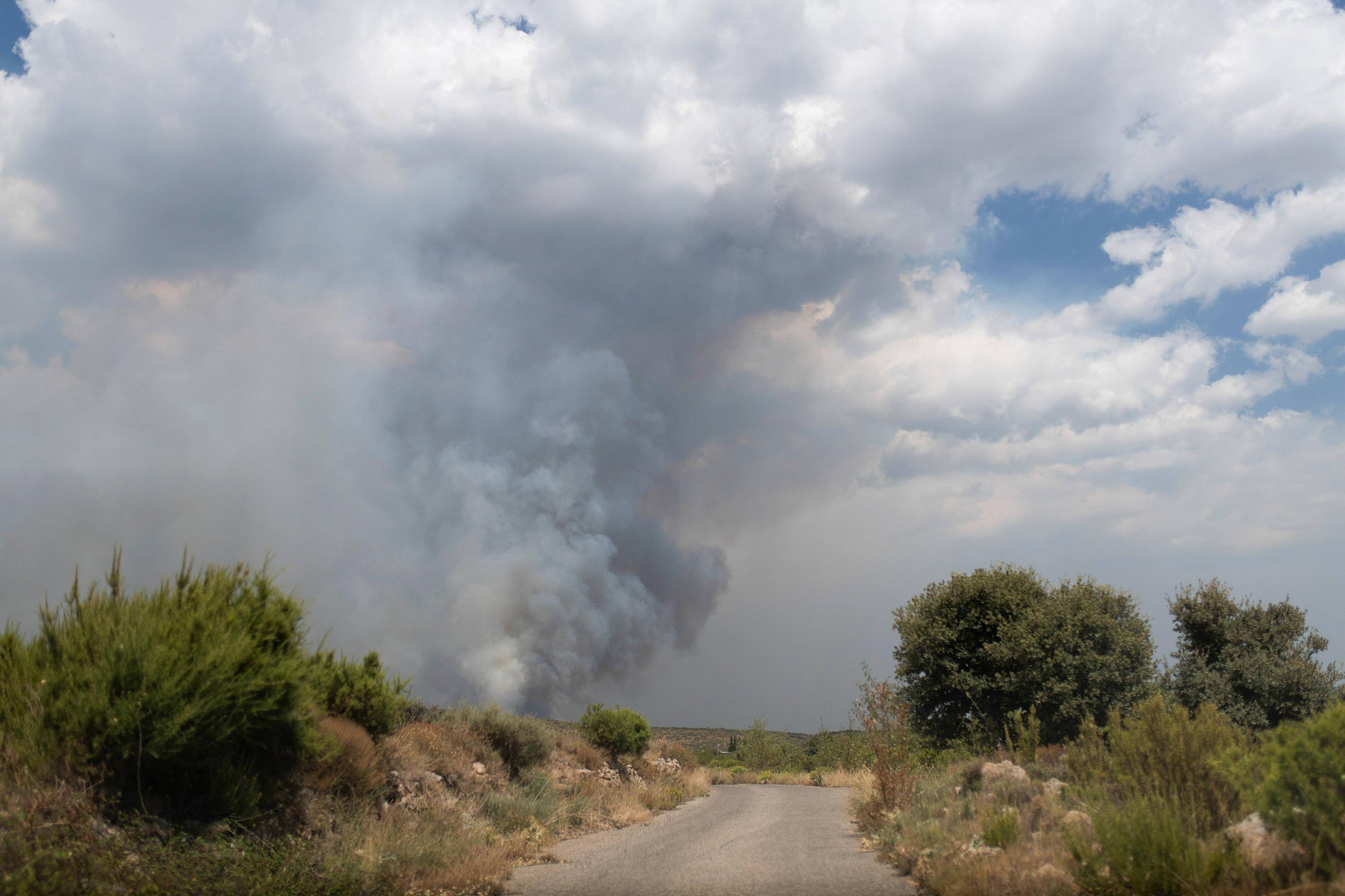 阿尔及利亚西班牙经贸关系明显回暖，2025年双边贸易加速恢复