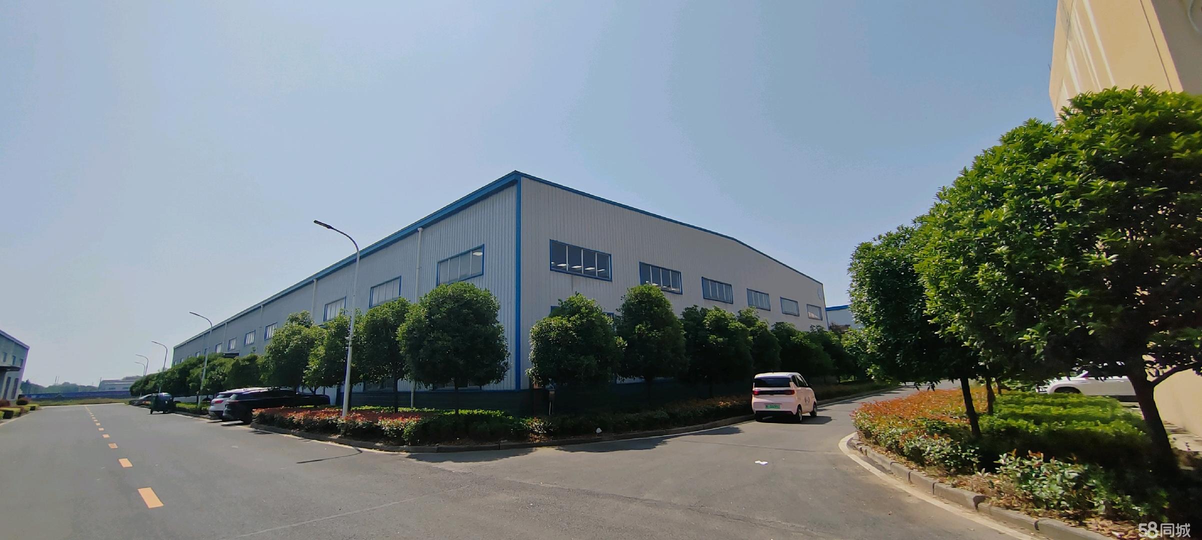 武商集团：沃尔玛未持有公司股权