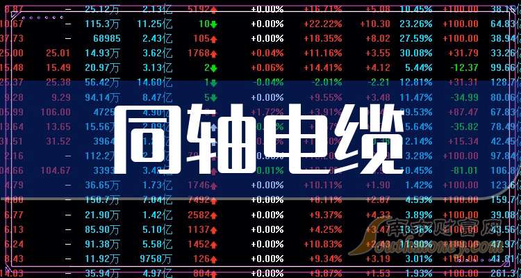 麦格米特：截至2026年1月9日股东人数为55,000+