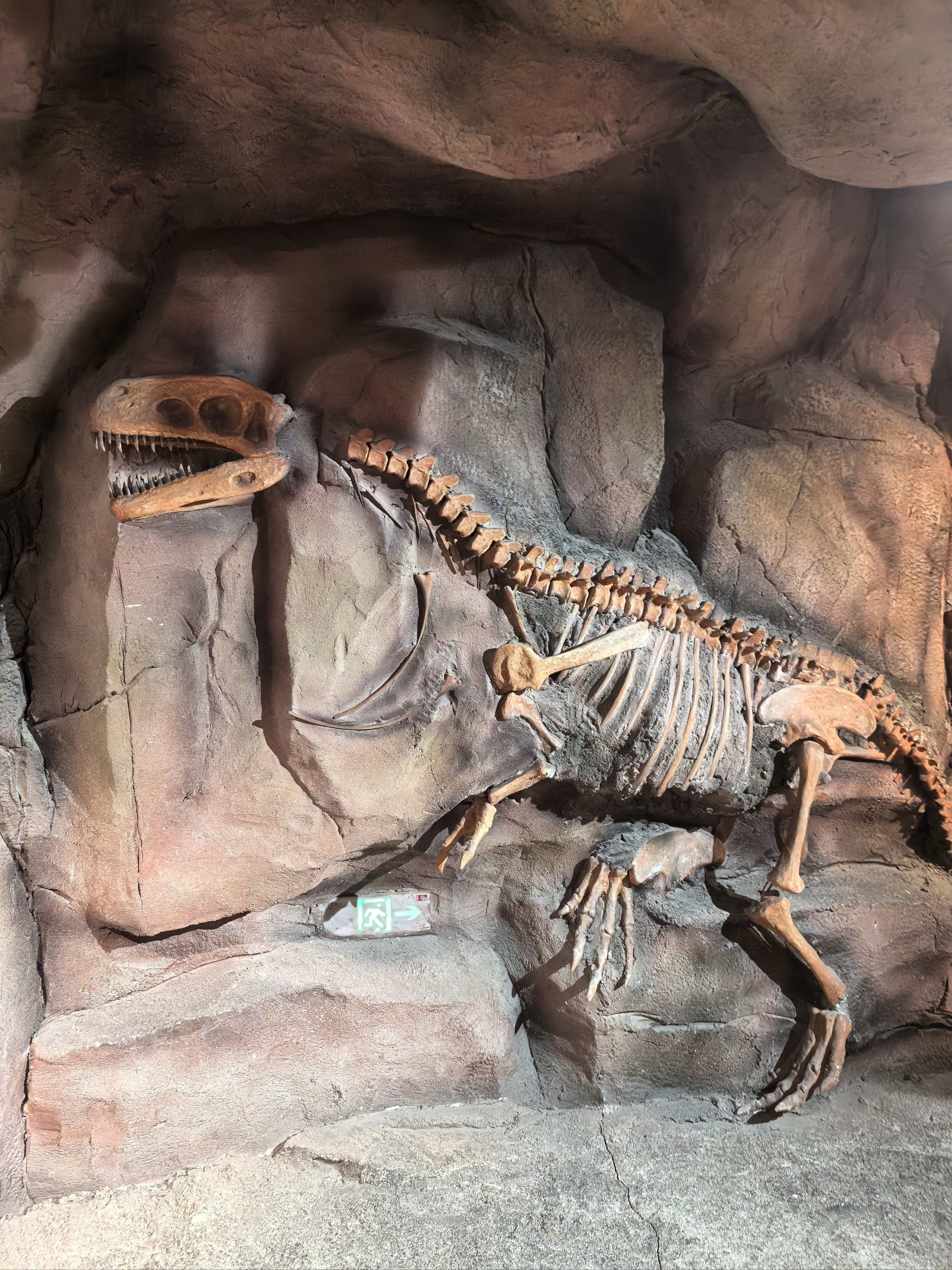 “雪龙2”号开展大洋考察作业——去海底听地球“跳动”的声音