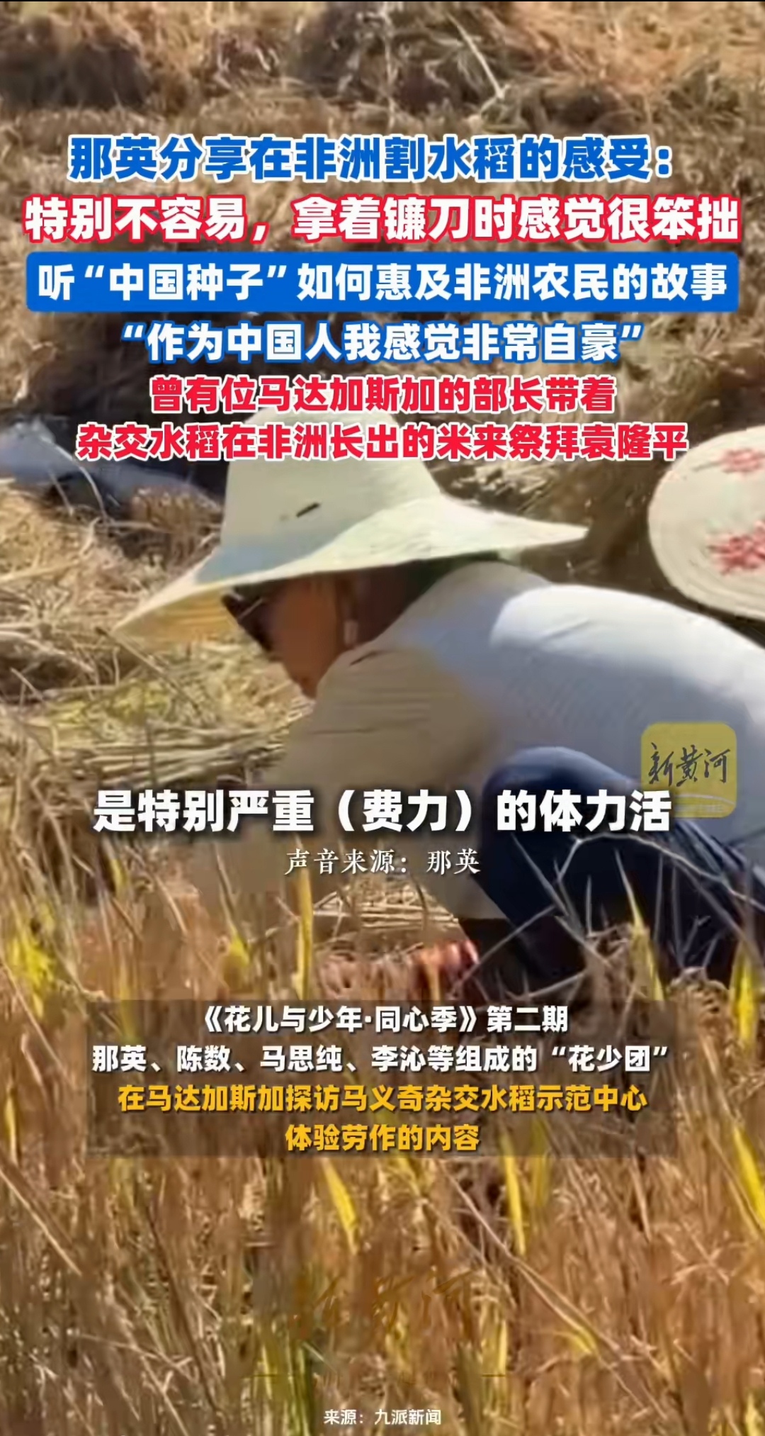 科学家发现水稻基因可“合力”抗旱