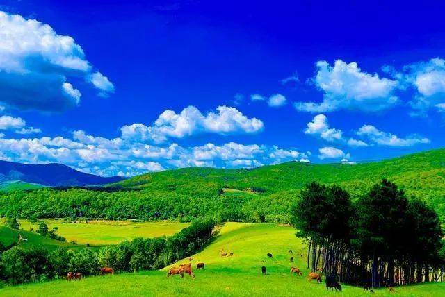 永兴股份获准发行30亿元科创债 绿色融资有望助力增厚业绩