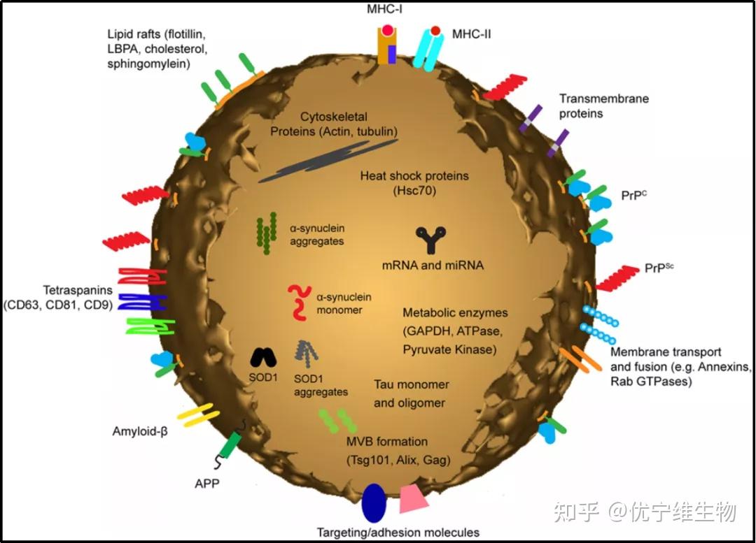 优宁维：可为客户提供单/多因子相关检测分析