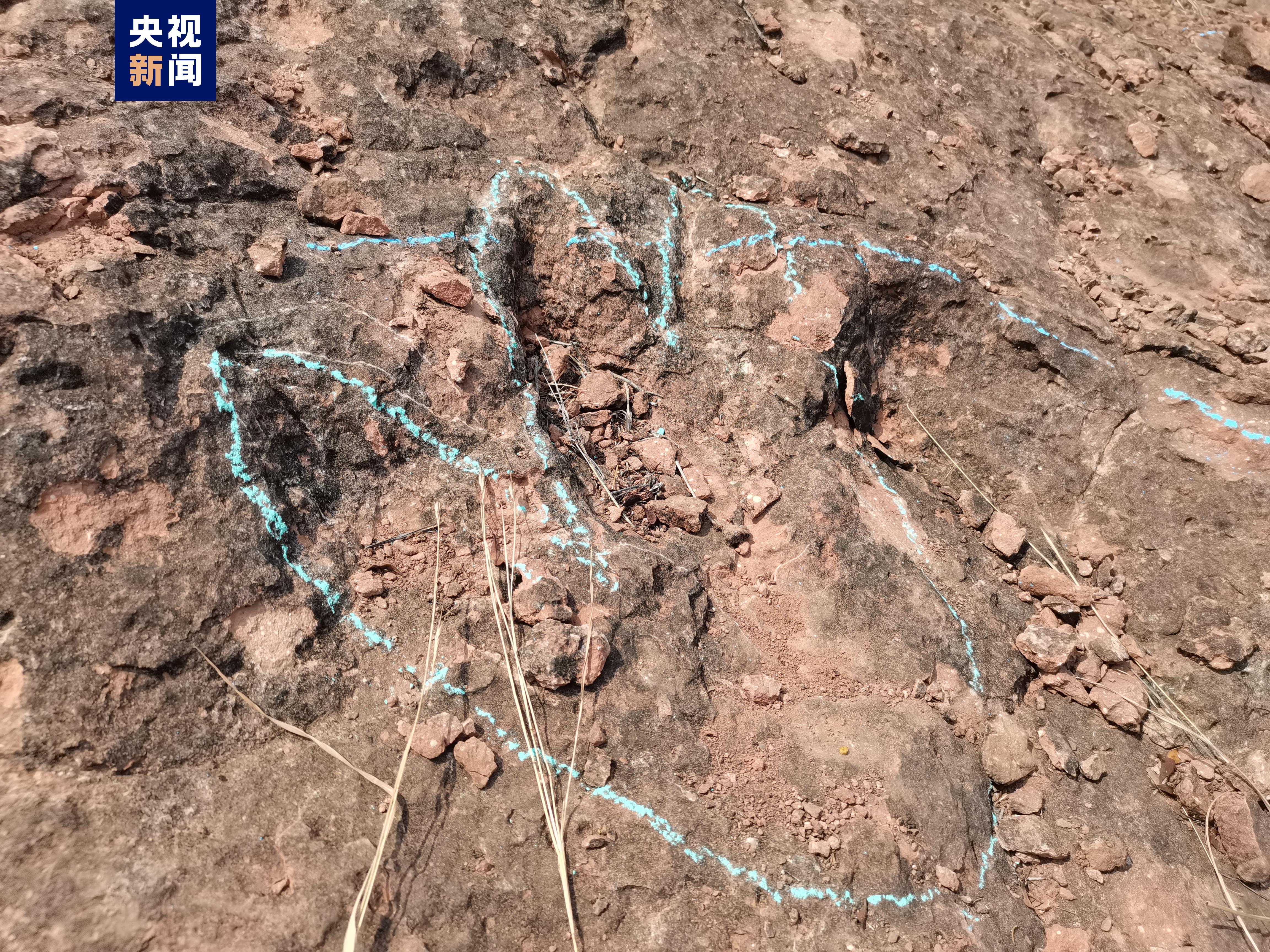 亚洲首例侏罗纪中期两栖动物足迹化石在北京发现