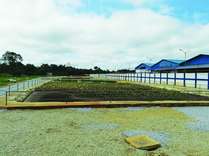 科特迪瓦对部分农产品及其投入品征收9%增值税